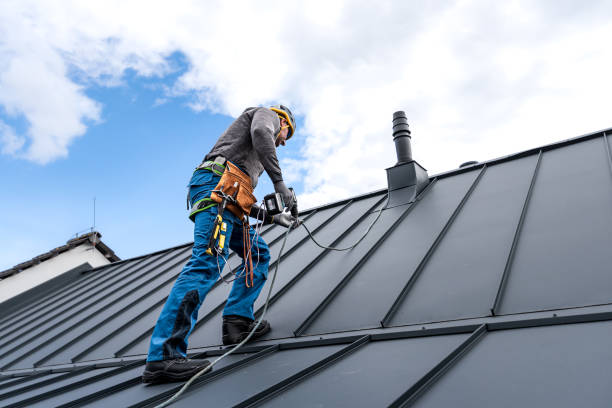 Best Sheet Metal Roofing  in New Baltimore, OH